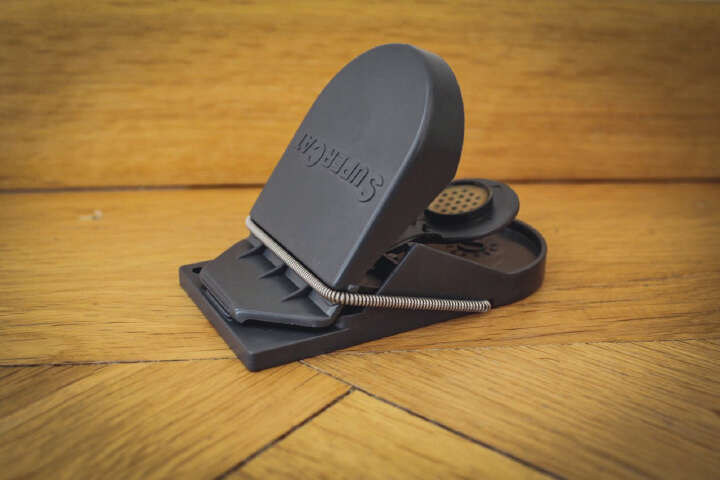 GÄRTNERGLÜCK Mausefalle SuperCat mit Köder